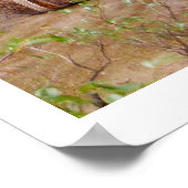 Schoonheid staat naast godheid poster (Hoek)