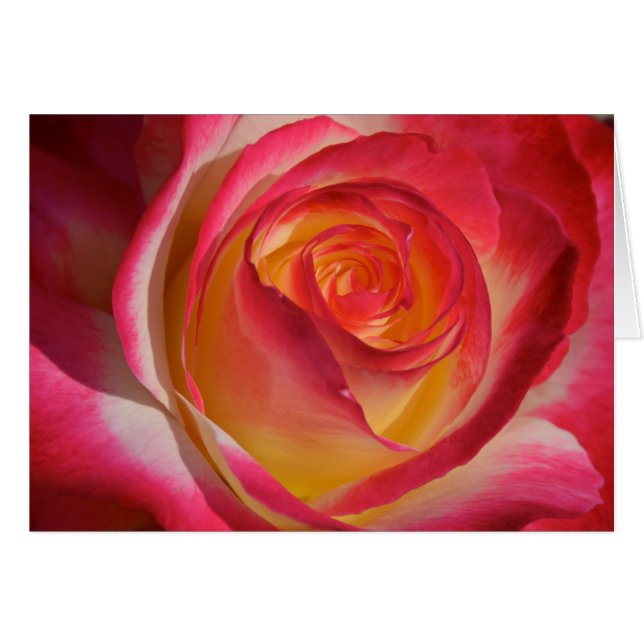 Schoonheid van Binnen (Voorkant Horizontaal)