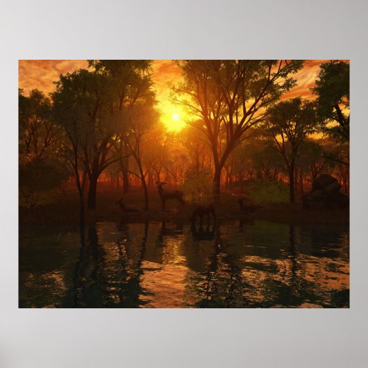 schoonheid van de Natuur Poster (Voorkant)