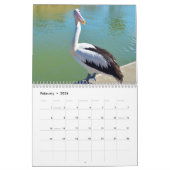 schoonheid van de pelikanen 2021, kalender (Feb 2026)