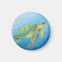 Schoonheid van de schildpad