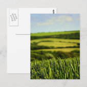 Schoonheid van het leven briefkaart (Voorkant / Achterkant)