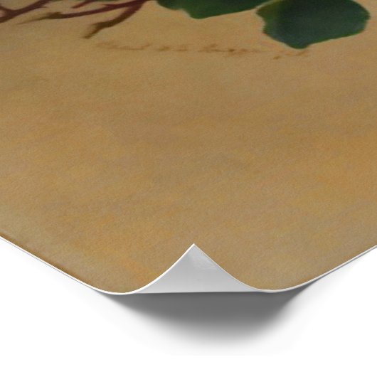 Schoonheid van het Poster van Rozen (Hoek)