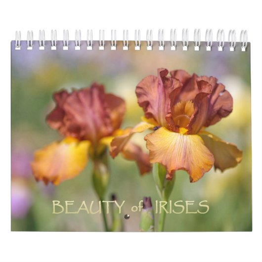 Schoonheid van Irises Kalender (Hoes)