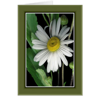 Schoonheid van Natuur r/c17