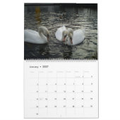 Schoonheid van zwanen kalender (Jan 2027)