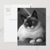 Schoonheid (zwart-wit) briefkaart (Voorkant / Achterkant)