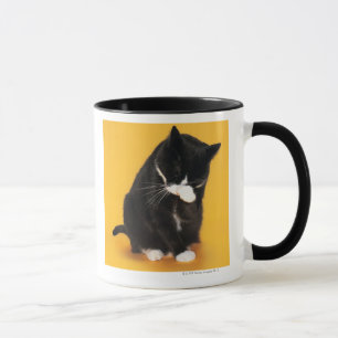 Schoonmaakgezicht voor zwarte en witte kat met poo mok