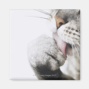 Schoonmaakpoot, close-up magneet