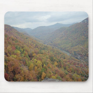 Schoorsteenrots in North Carolina Muismat