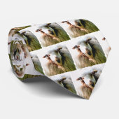 SCHOPE SCHAAP STROPDAS (Opgerold)