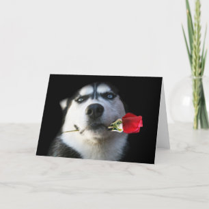 Schor en nam Valentijn/de Hond van de Tango toe Feestdagen Kaart