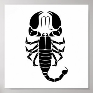 schorpio scorpion astrologie zodiahoroscoop poster