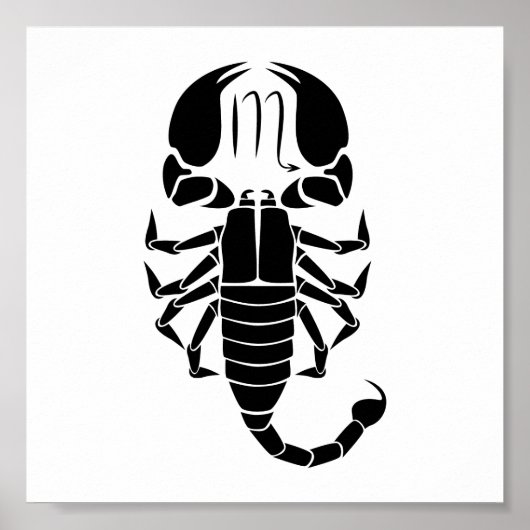 schorpio scorpion astrologie zodiahoroscoop poster (Voorkant)