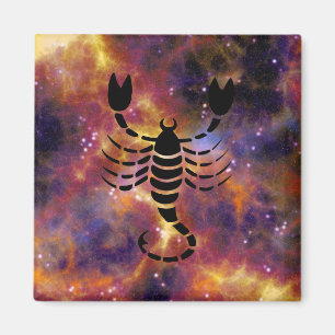 schorpio scorpion magnet magneet