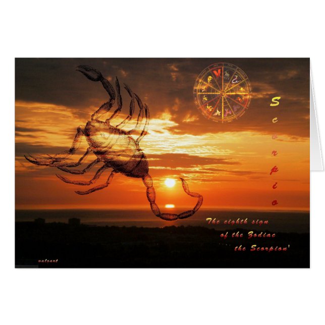 schorpioen (Voorkant Horizontaal)