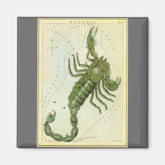 Schorpioen, Antieke Sterrenbeelden Urania's Spiege Magneet (Voorkant)