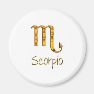 schorpioen magneet