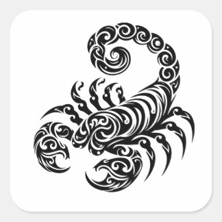 Schorpioen stam tattoo vierkante sticker