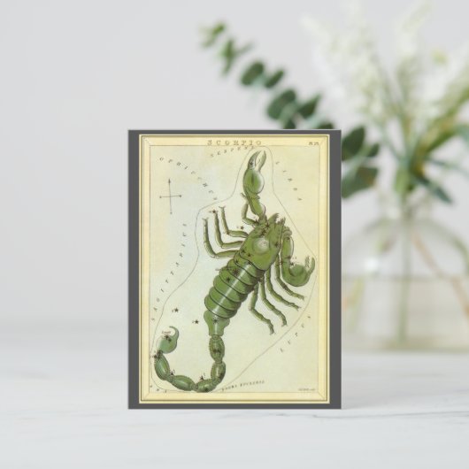 Schorpioen, sterrenbeeld Urania's Mirror Briefkaart (Staand voorkant)