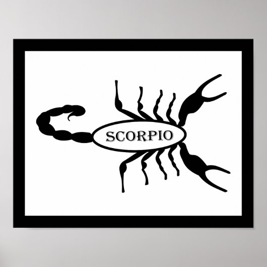 Schorpioen Zwart Scorpion Sterrenbeeld Poster (Voorkant)