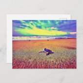 Schorretiel Briefkaart (Voorkant / Achterkant)