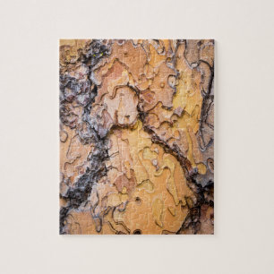 Schors van de ponderosadennen, Washington Legpuzzel