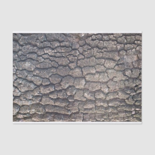 Schors van de vlakke boom tissuepapier (Voorkant)