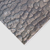 Schors van de vlakke boom tissuepapier (Detail)