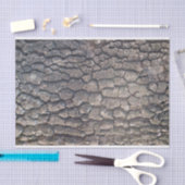 Schors van de vlakke boom tissuepapier (Craft)