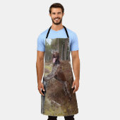 Schort Duitse horthaired Pointer (Gedragen)