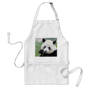 Schort Foto reus panda, animal 0082.