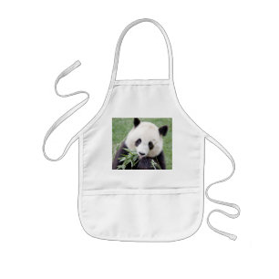 Schort Foto reus panda, animal 0085.