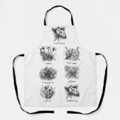 Schort voor botanische illustraties (Voorkant)