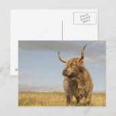 Schotland Briefkaart (Voorkant / Achterkant)