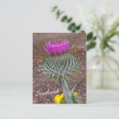 Schotland, de Thistle Briefkaart (Staand voorkant)