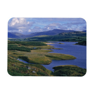 Schotland, Highland, Wester Ross, Loch Garry. An Magneet
