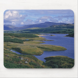 Schotland, Highland, Wester Ross, Loch Garry. An Muismat