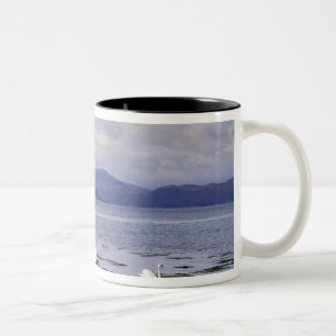 Schotland, Highland, Wester Ross, Stalker Tweekleurige Koffiemok