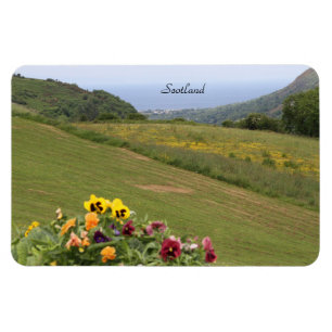 Schotland, Highlands, Ocean, Flowers, Photography Magneet