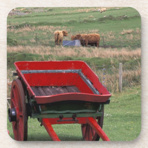 Schotland, Isle of Skye, Kilmuir. Boerderijdieren Drankjes Onderzetter