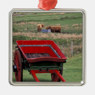 Schotland, Isle of Skye, Kilmuir. Boerderijdieren Metalen Ornament