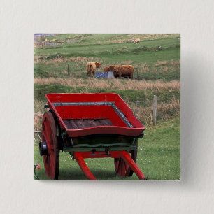 Schotland, Isle of Skye, Kilmuir. Boerderijdieren Vierkante Button 5,1 Cm