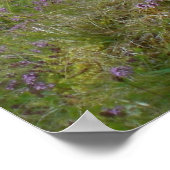 Schotland poster (Hoek)