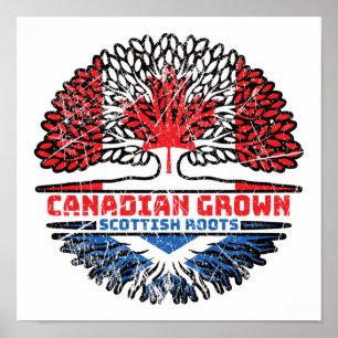 Schotland Schots-Canadese vlag voor boomstammen Poster