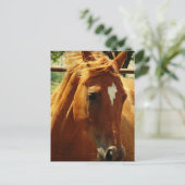 Schots Briefkaart (Staand voorkant)