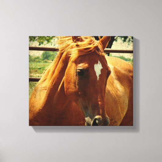 Schots Canvas Afdruk (Voorkant)