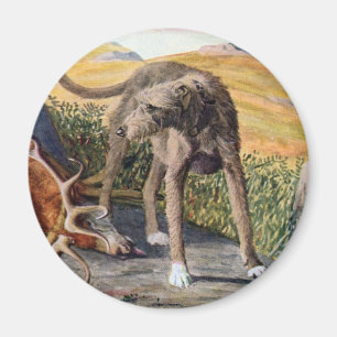Schots deerhound magneet