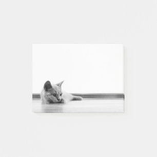Schots flinterkattekatje supergeluid post-it® notes