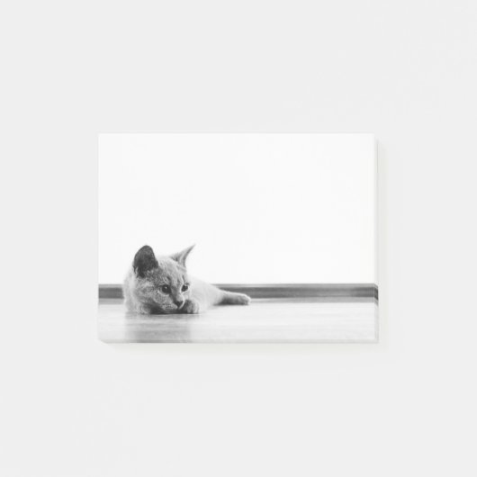 Schots flinterkattekatje supergeluid post-it® notes (Voorkant)